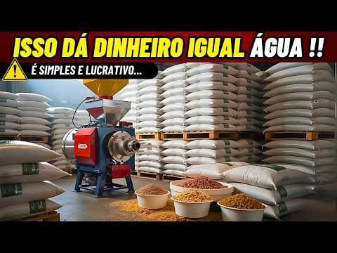 13 Negócios que POUCA GENTE PENSA, mas que Dão Dinheiro